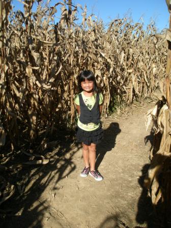 Kasen in the corn maze